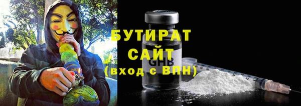 гашик Алексин