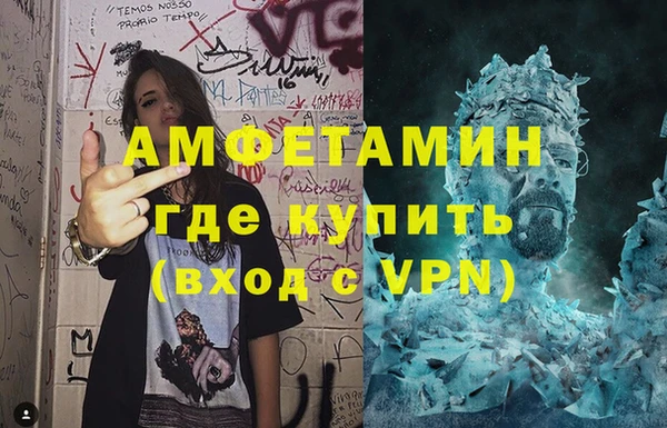 гашик Алексин