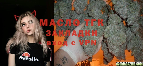 гашик Алексин