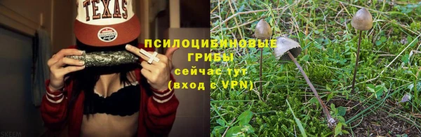 гашик Алексин