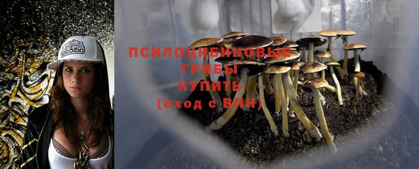 трава Алзамай