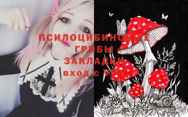 трава Алзамай
