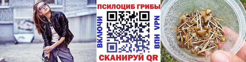 Галлюциногенные грибы Psilocybine cubensis  где найти наркотики  Нурлат 